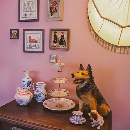 Boutique Stadtmitte 호텔